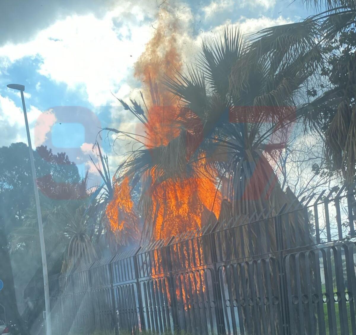 INCENDIO ALL'ISTITUTO RUSSO DI RAGIONERIA A PATERNO: FUOCO UNA PALMA, FIAMME E FUMO VISIBILI A DISTANZA - 