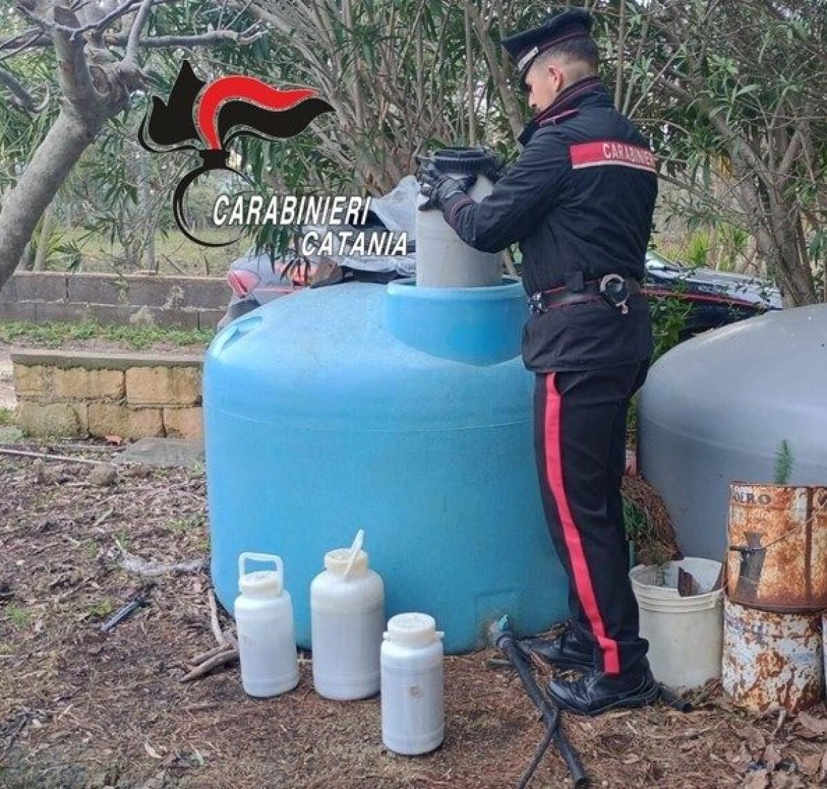 NASCONDEVA MARIJUANA NELLA CISTERNA D’ACQUA: 43ENNE ARRESTATO A VIZZINI - 