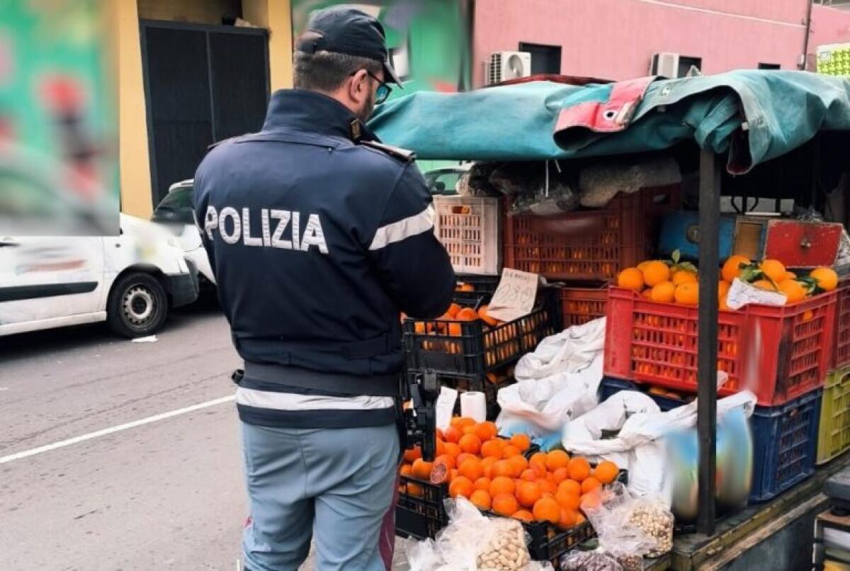 CATANIA, AGRUMI NON TRACCIABILI: SEQUESTRATE 2 TONNELLATE E SANZIONI PER OLTRE 11MILA EURO - 