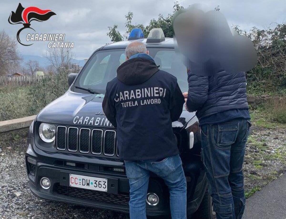 PASSOPISCIARO E LINGUAGLOSSA, LAVORATORI IN NERO: SCATTA LA STRETTA DEI CARABINIERI - 