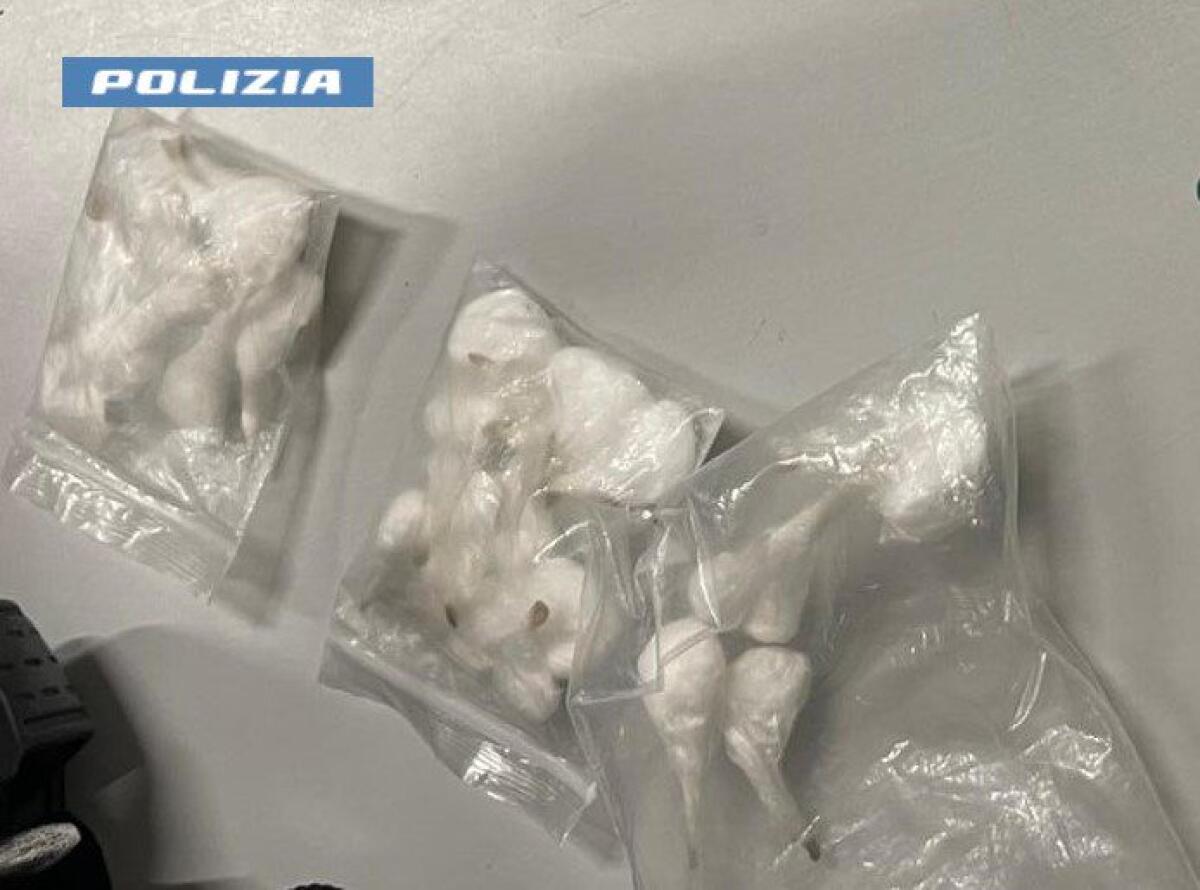 CATANIA: SI FINGEVA POLIZIOTTO UTILIZZANDO IL LAMPEGGIANTE BLU PER MA ERA UNA COPERTURA PER SPACCIARE: ARRESTATO. - 