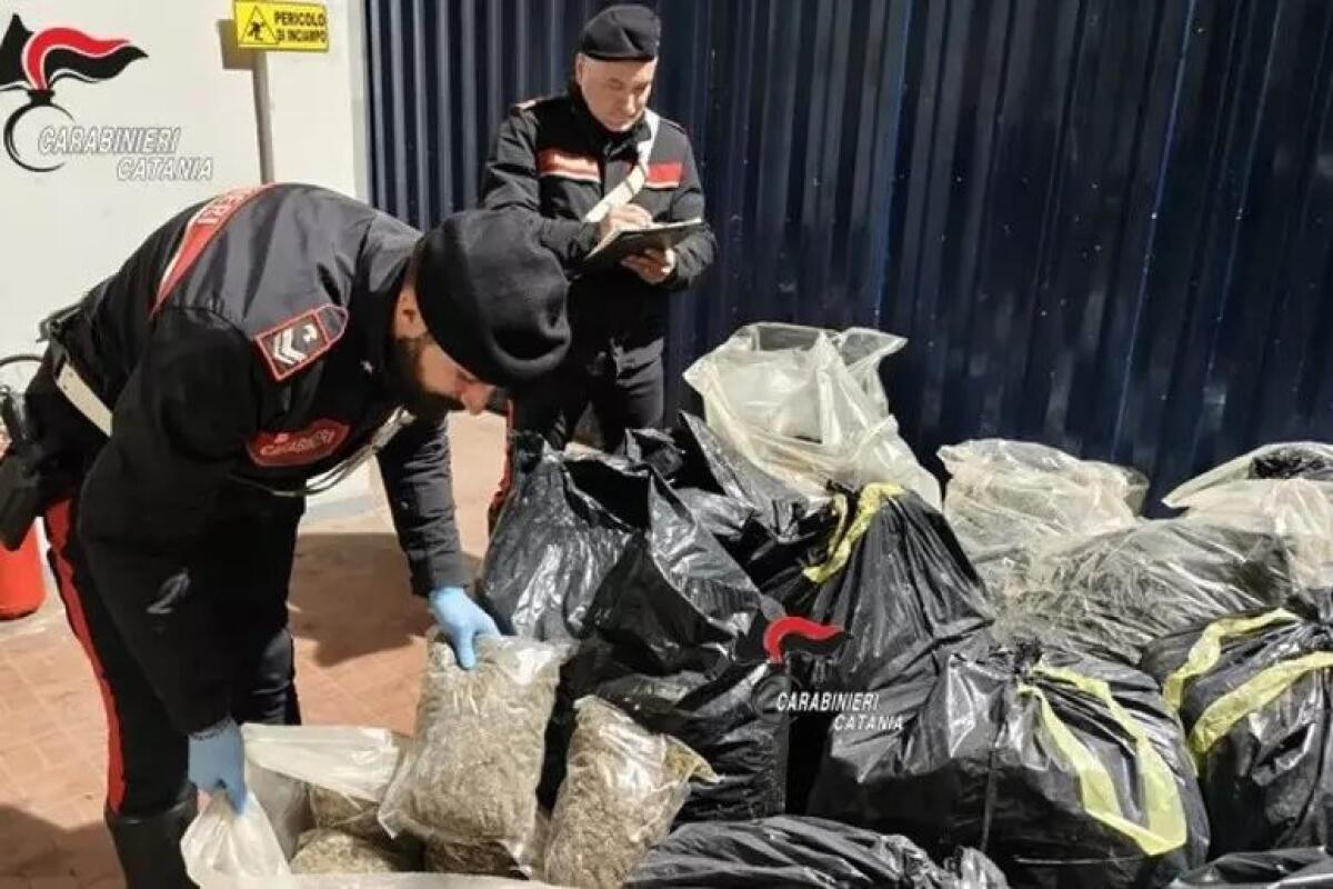CATANIA. SEQUESTRATI 2,5 QUINTALI DI MARIJUANA PER UN VALORE FINO A 2 MILIONI DI EURO NASCOSTI TRA MATERIALI DI RISULTA - 