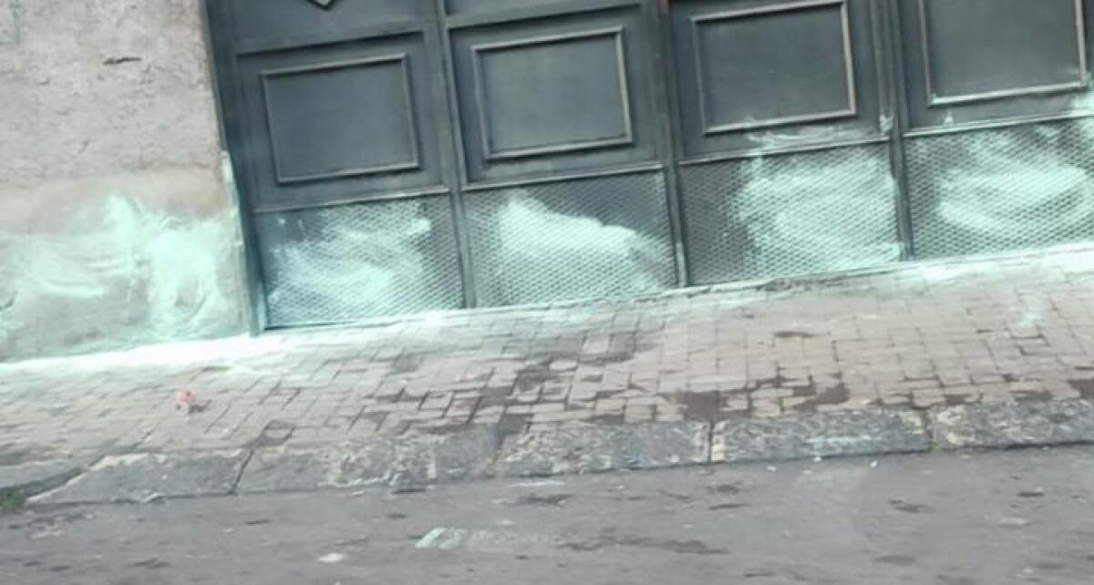 PATERNÒ, POLVERI CONTRO I CANI: I LETTORI ESPRIMONO PREOCCUPAZIONE PER LA SICUREZZA DEGLI ANIMALI - 