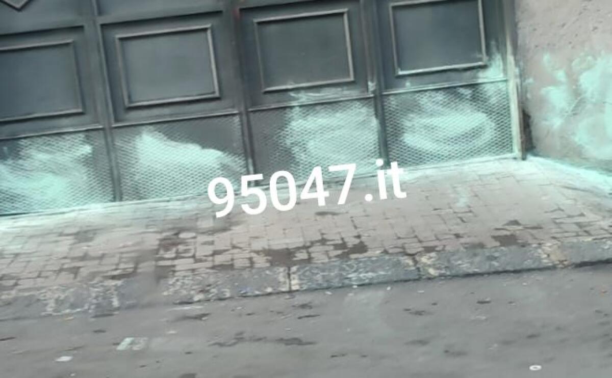 SEGNALAZIONI DEI LETTORI: POLVERI PER ALLONTANARE I CANI A PATERNÒ, LA PREOCCUPAZIONE DEI PROPRIETARI - 