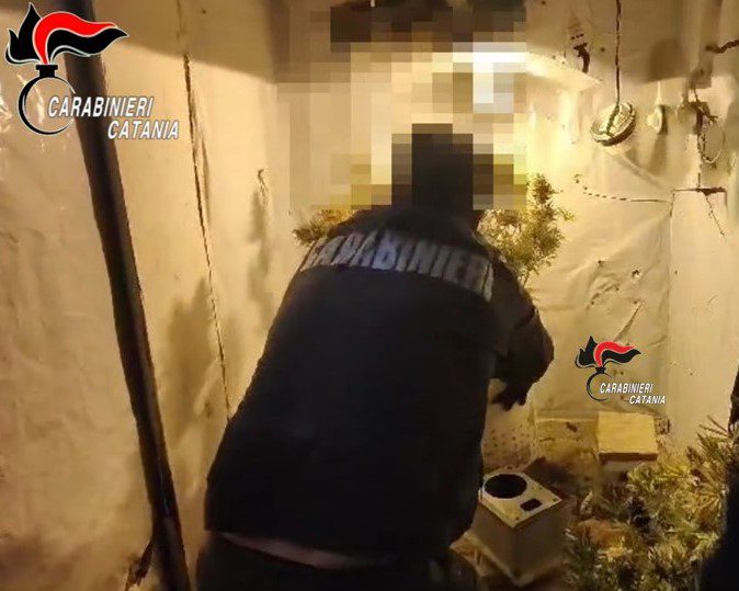 SCOPERTA SERRA DI MARIJUANA IN CASA: ARRESTATO 38ENNE A MASCALUCIA