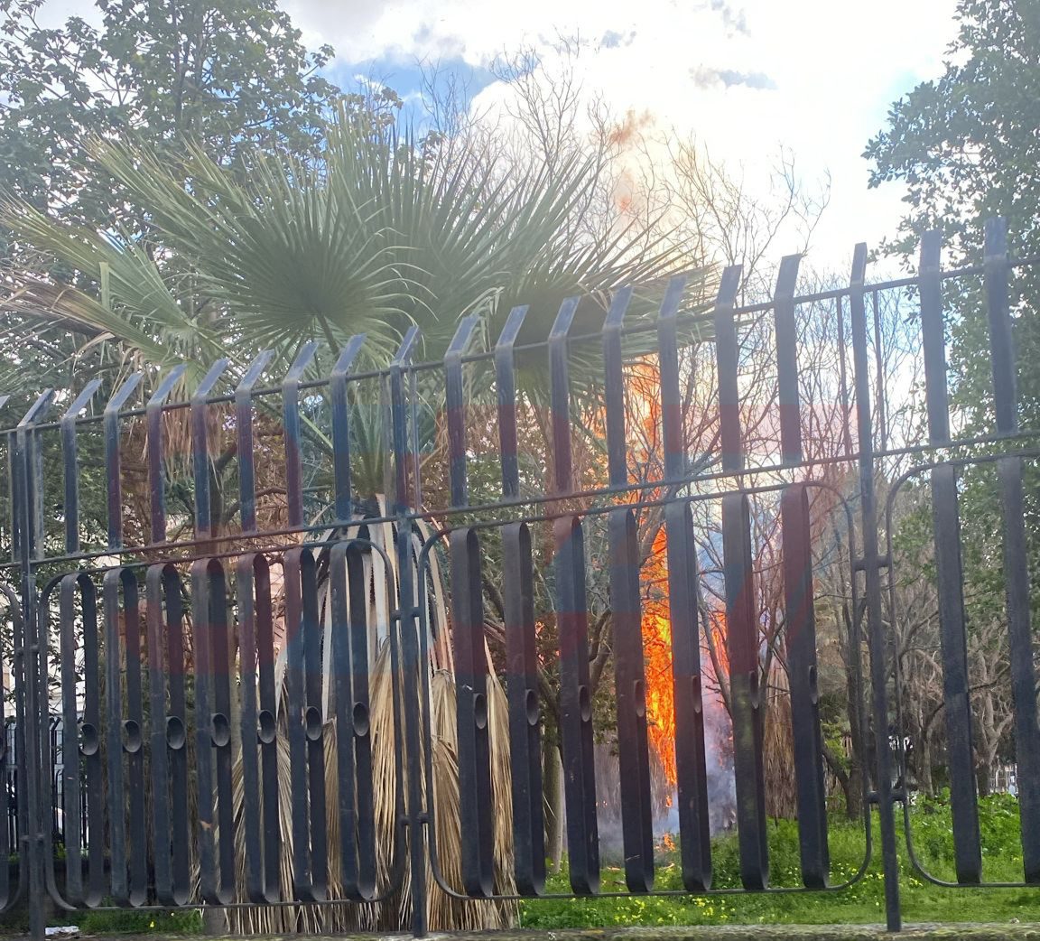 INCENDIO ALL'ISTITUTO RUSSO DI RAGIONERIA A PATERNO: FUOCO UNA PALMA, FIAMME E FUMO VISIBILI A DISTANZA