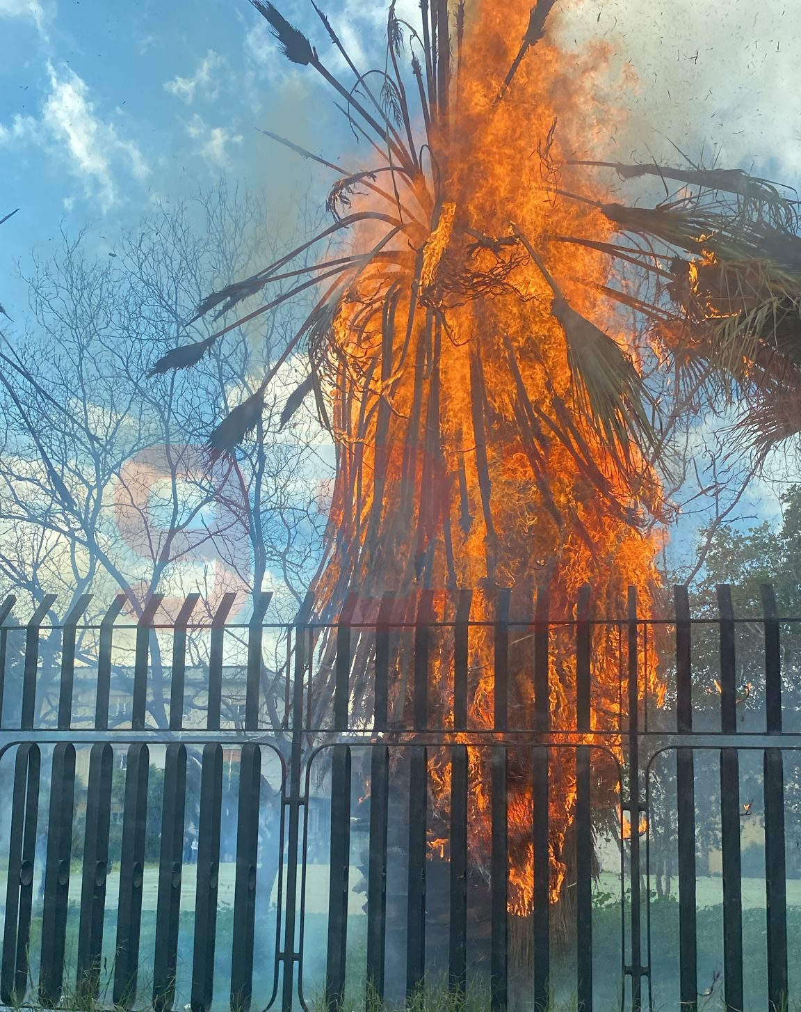 INCENDIO ALL'ISTITUTO RUSSO DI RAGIONERIA A PATERNO: A FUOCO UNA PALMA, FIAMME E FUMO VISIBILI A DISTANZA