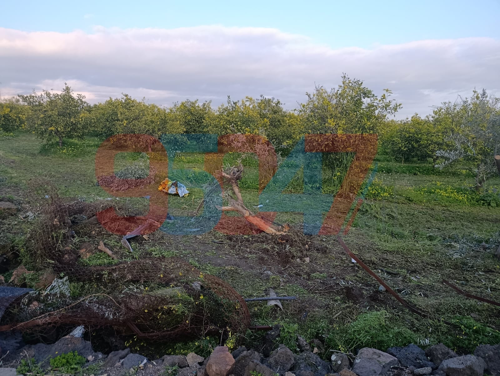 PATERNO'. FURGONE SI RIBALTA SULLA SP24 IN ZONA PONTE BARCA: QUATTRO FERITI, UNO GRAVE, ALCUNI OCCUPANTI IRREPERIBILI