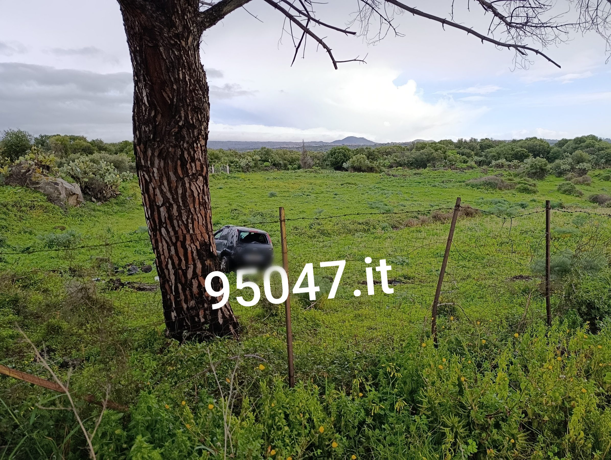 BELPASSO. INCIDENTE SULLA SP 229/1: UN'AUTO FINISCE FUORI STRADA NELLA NOTTE DI SABATO