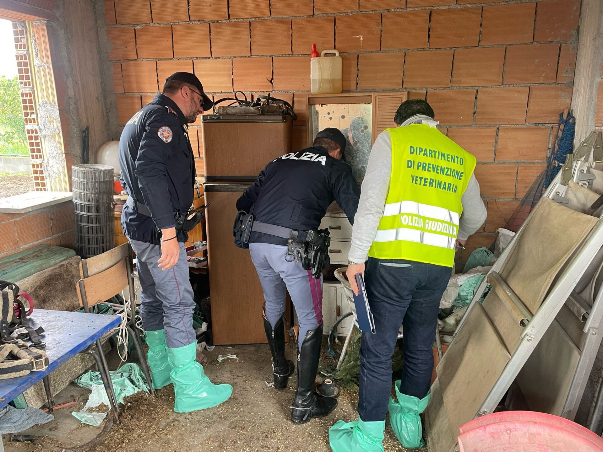 Calatabiano, struttura abusiva sotto sequestro: cavalli malnutriti e sanzioni pesanti