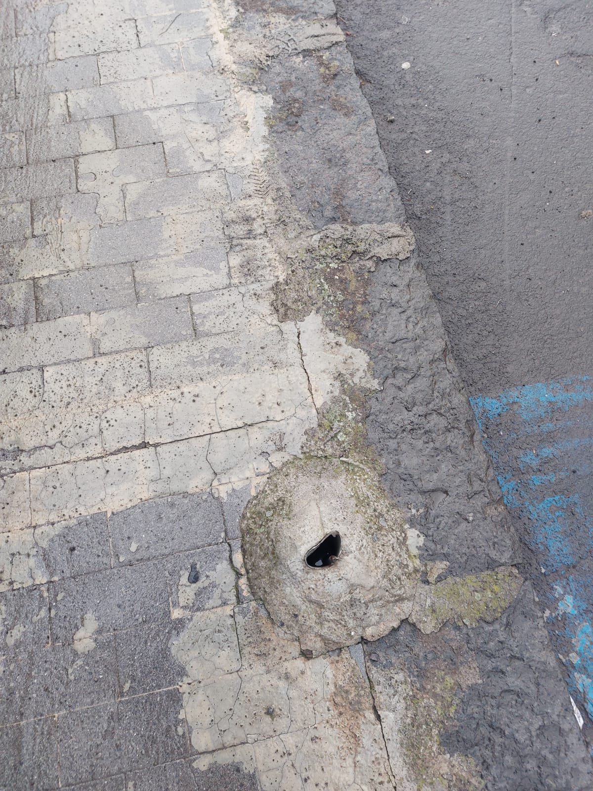 PATERNO'- PALO ROTTO DA TEMPO DAVANTI ALLA SCUOLA G.B. NICOLOSI, I LETTORI CHIEDONO INTERVENTI URGENTI