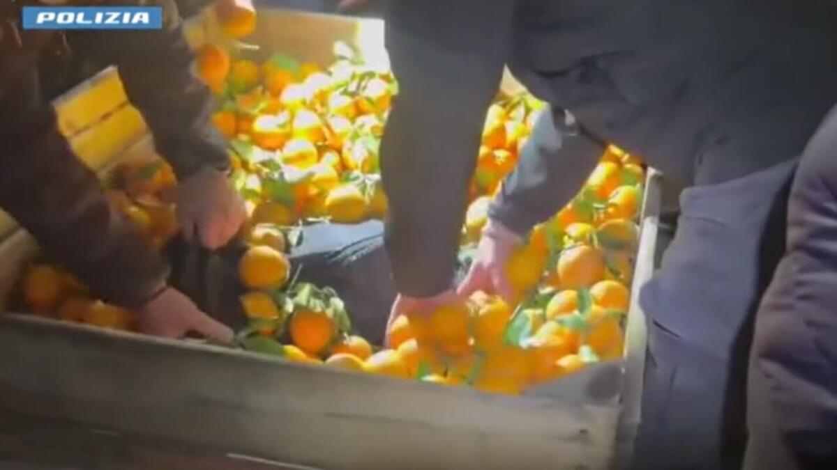 MAXI-OPERAZIONE ANTIDROGA A CATANIA: FERMATO AUTOARTICOLATO CON OLTRE 280 KG DI STUPEFACENTI, DUE ARRESTI - 