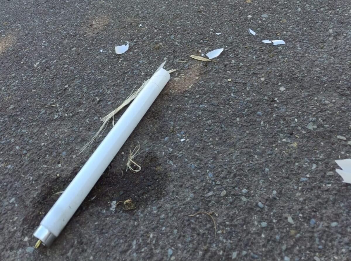 PATERNÒ, DEGRADO IN PIAZZA ALDO MORO: LA SEGNALAZIONE DI UN CITTADINO - 