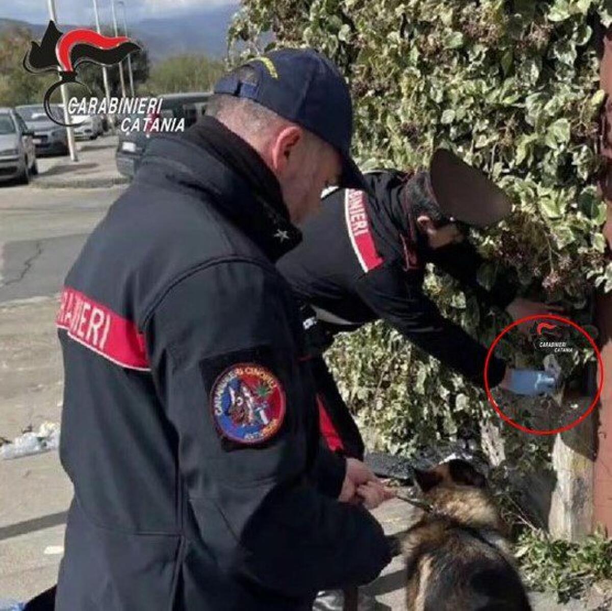 BRONTE, BLITZ DEI CARABINIERI A SCUOLA: SCOVATI SPINELLI E GRINDER NEI BAGNI - 