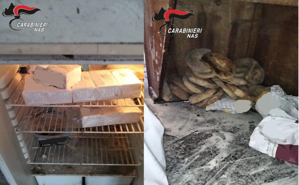 PANIFICIO DEGLI ORRORI NEI PAESI ETNEI: SEQUESTRATO DAI NAS TRA SPORCIZIA, ESCREMENTI E LEGNA VERNICIATA - 