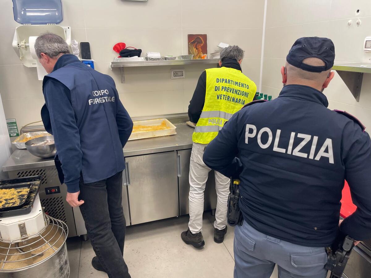 QUINDICI CHILI DI PESCE SPADA SEQUESTRATI IN UNA PESCHERIA DI VIALE MARIO RAPISARDI - 
