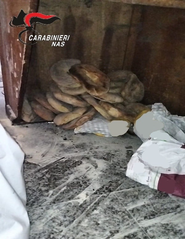 ORRORE IN UN PANIFICIO ETNEO, TOPI, BLATTE E LEGNO VERNICIATO NEI FORNI: