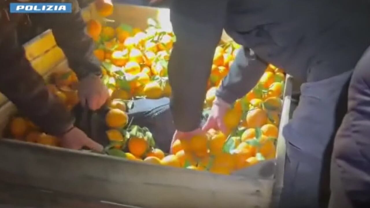 MAXI-OPERAZIONE ANTIDROGA A CATANIA: FERMATO AUTOARTICOLATO CON OLTRE 280 KG DI STUPEFACENTI, DUE ARRESTI