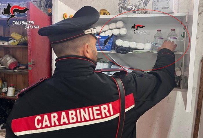 CATANIA, CAVALLI IN CONDIZIONI CRITICHE IN UNA STALLA ABUSIVA: DENUNCIATO UN 36ENNE