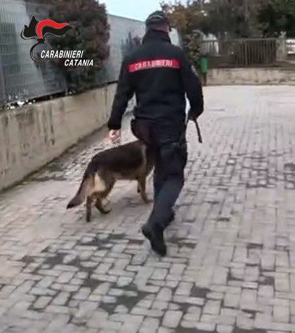 BRONTE, BLITZ DEI CARABINIERI A SCUOLA: SCOVATI SPINELLI E GRINDER NEI BAGNI