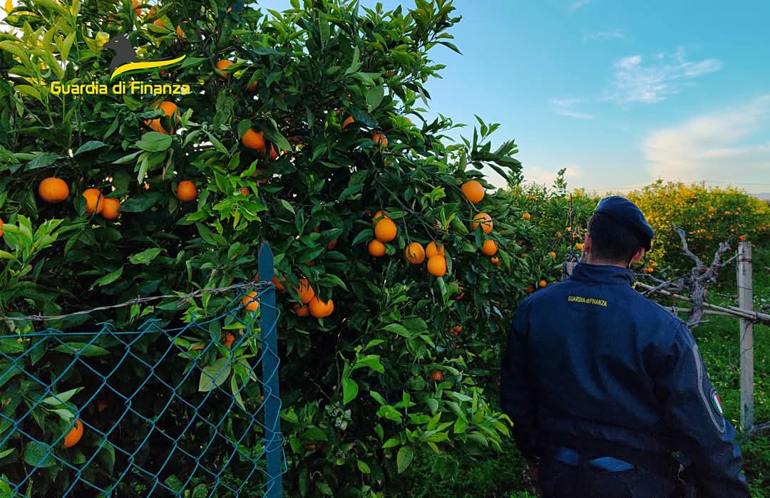 PATERNÒ, ARRESTATO “CAPORALE” CHE ACCOMPAGNAVA E SFRUTTAVA LAVORATORI NEGLI AGRUMETI