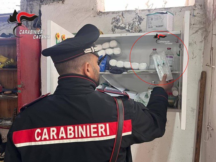 CATANIA, CAVALLI IN CONDIZIONI CRITICHE IN UNA STALLA ABUSIVA: DENUNCIATO UN 36ENNE
