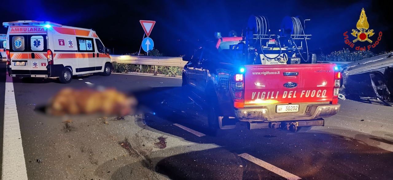 MODICA, INCIDENTE IN AUTOSTRADA: DUE AUTO INVESTONO UN BOVINO, FERITE TRE DONNE