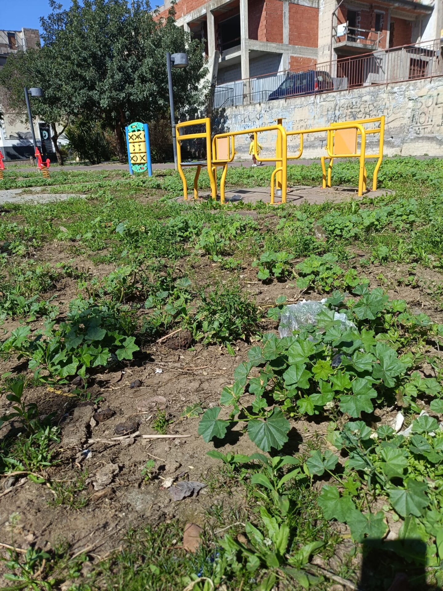PATERNÒ, DEGRADO IN PIAZZA ALDO MORO: LA SEGNALAZIONE DI UN CITTADINO