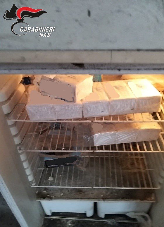 ORRORE IN UN PANIFICIO ETNEO, TOPI, BLATTE E LEGNO VERNICIATO NEI FORNI: