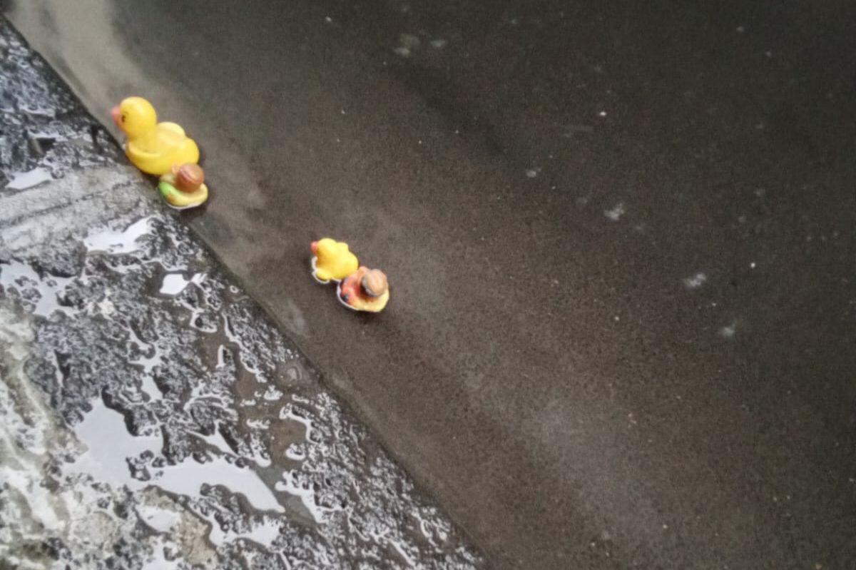 PATERNÒ, QUANDO PIOVE SPUNTANO I LAGHETTI: LA SEGNALAZIONE IRONICA DI UN CITTADINO - 