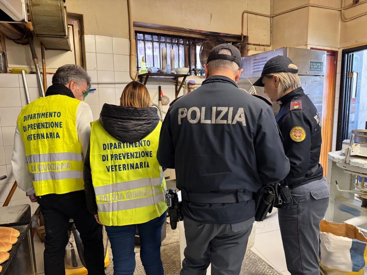 FORMICHE NELLA FARINA, CHIUSO PANIFICIO A CATANIA: SOSPESA L’ATTIVITÀ, TITOLARE DENUNCIATO ANCHE PER ALLACCIO ABUSIVO ALL’ENEL - 