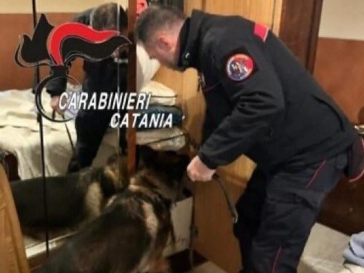 PATERNÒ, ARRESTATO 41ENNE CON COCAINA IN CASA - 
