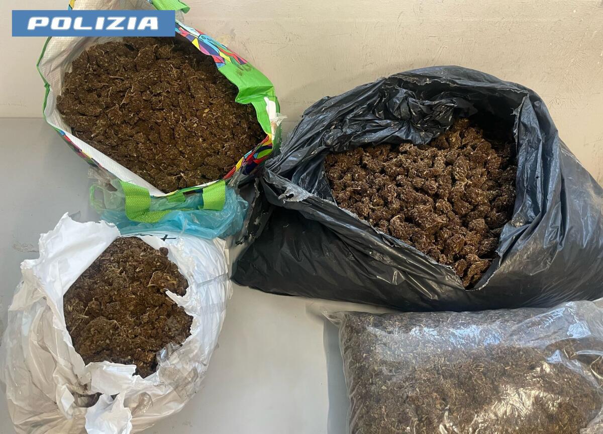 Catania, segnalazione di furto porta al sequestro di 12 kg di marijuana - 