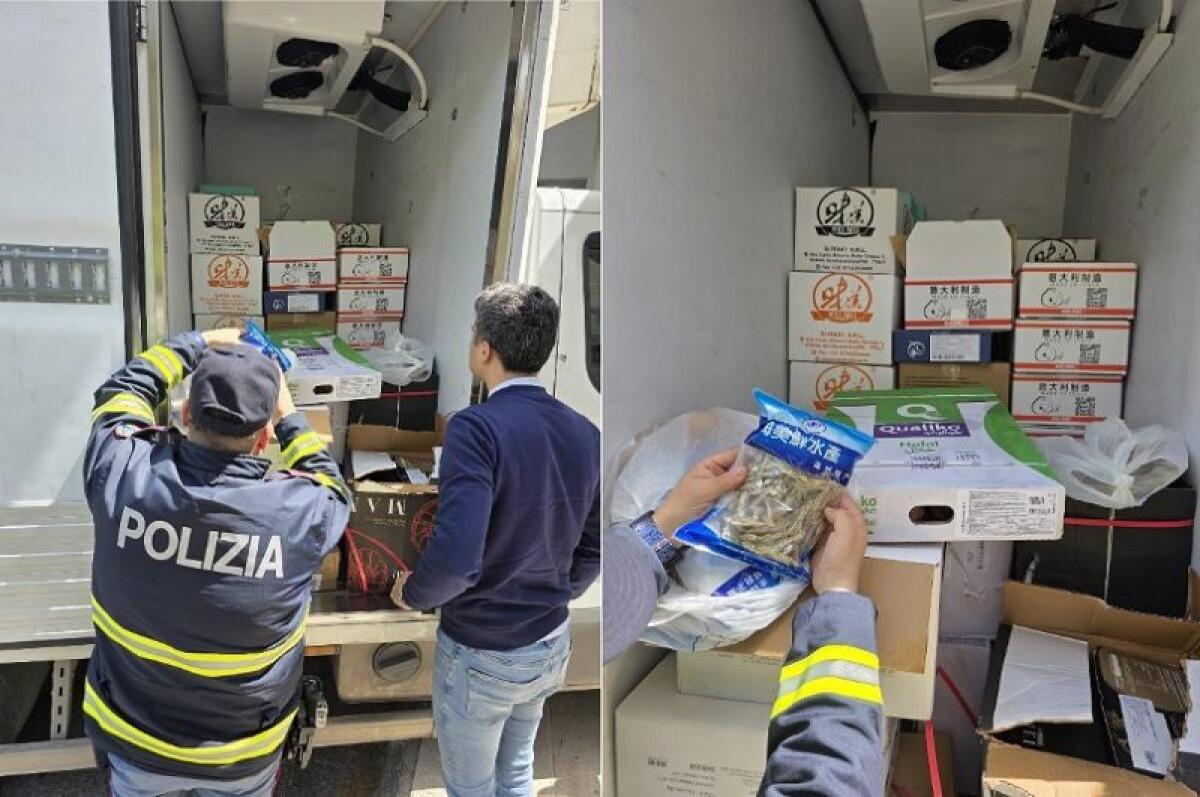 CARNE E PESCE AVARIATI DESTINATI AI RISTORANTI DI MESSINA: 624 KG SEQUESTRATI DALLA POLIZIA STRADALE - 