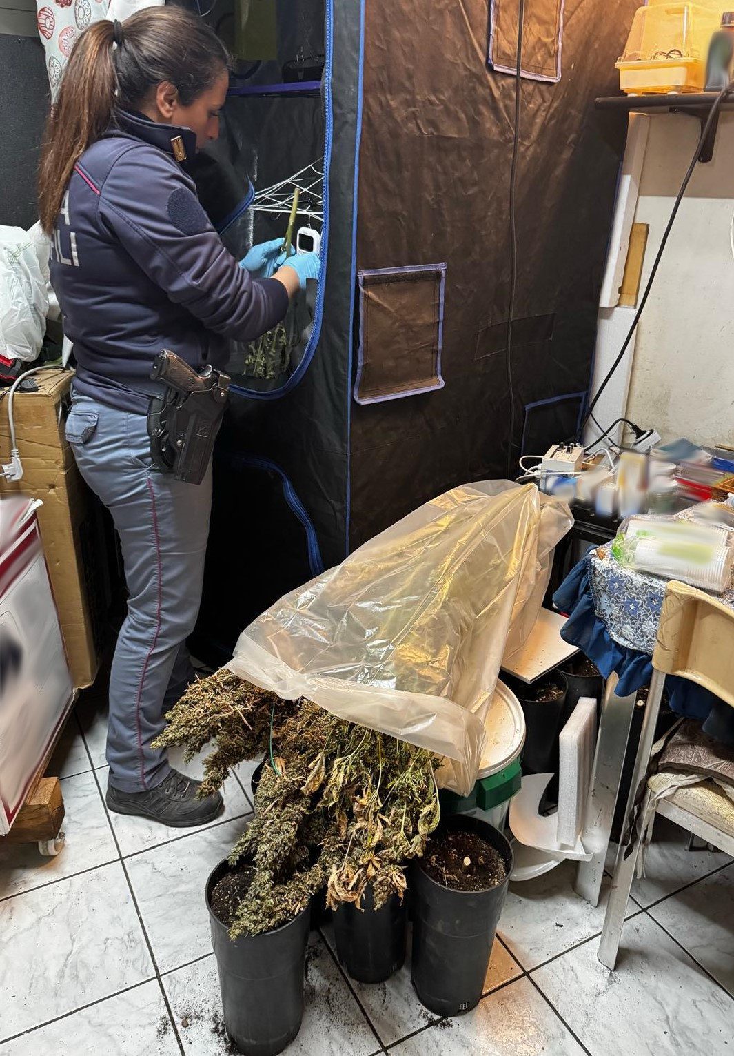 57ENNE CATANESE ARRESTATO DALLA POLIZIA DI STATO. AVEVA CREATO IN CASA UNA SERRA PER COLTIVARE CANNABIS.