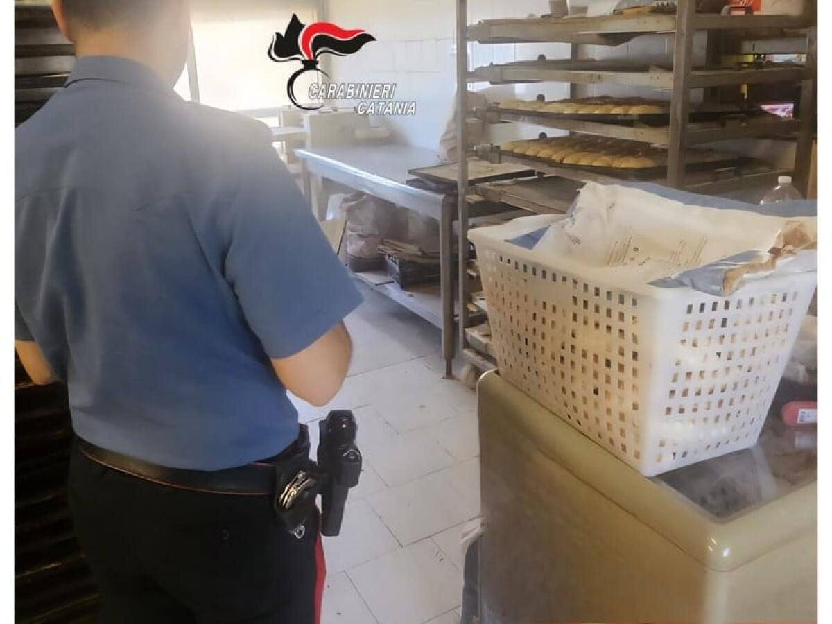 CATANIA. Panificio rubava luce e acqua: denunciato il titolare - 
