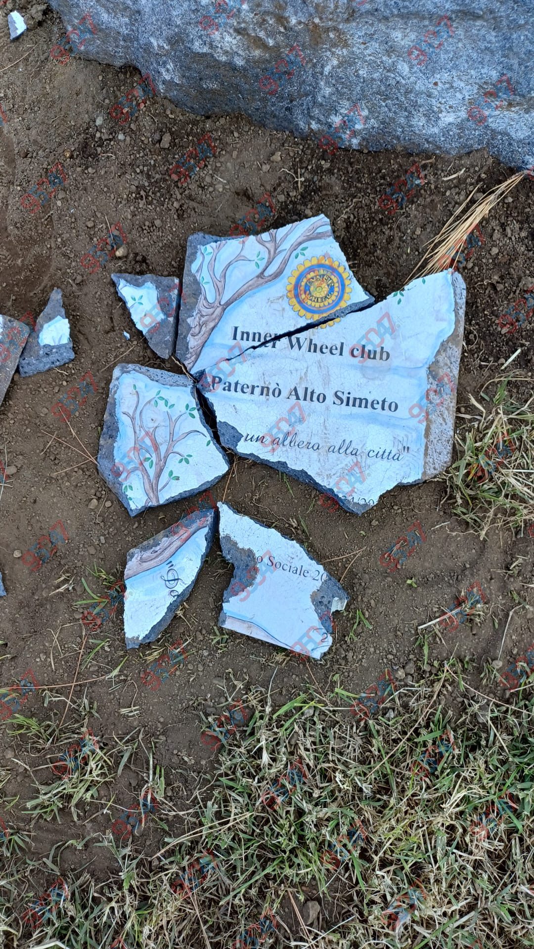 PATERNÒ, NUOVO ATTO VANDALICO: DISTRUTTA LA TARGA DELL’“ALBERO DELLA CITTÀ” AL PARCO DEL SOLE