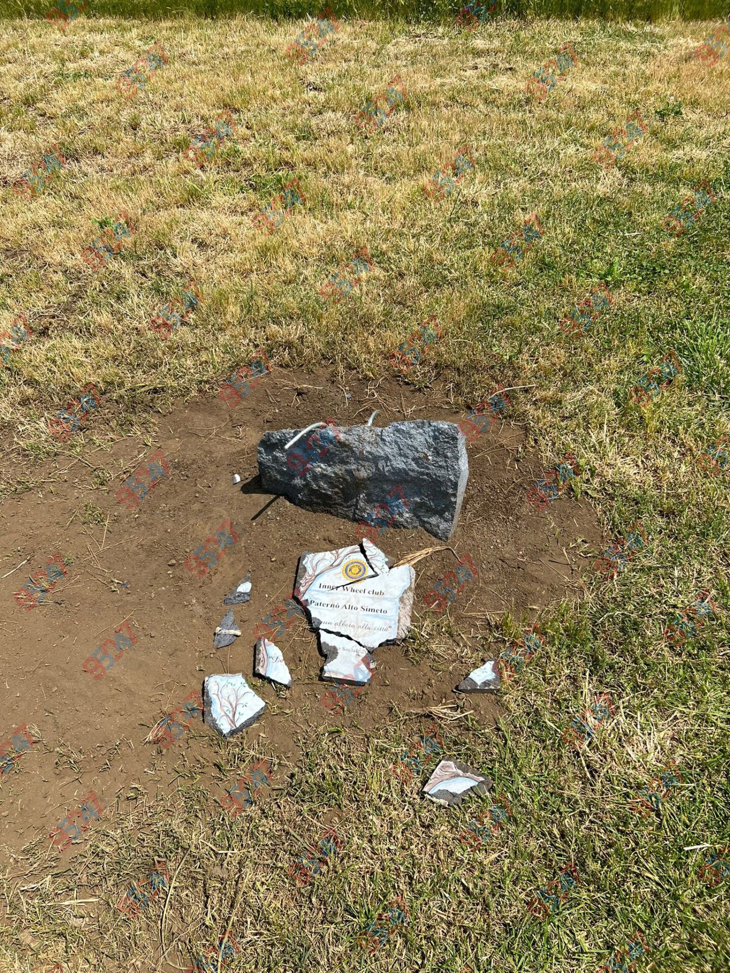 PATERNÒ, DISTRUTTA LA TARGA DELL’“ALBERO DELLA CITTÀ” AL PARCO DEL SOLE