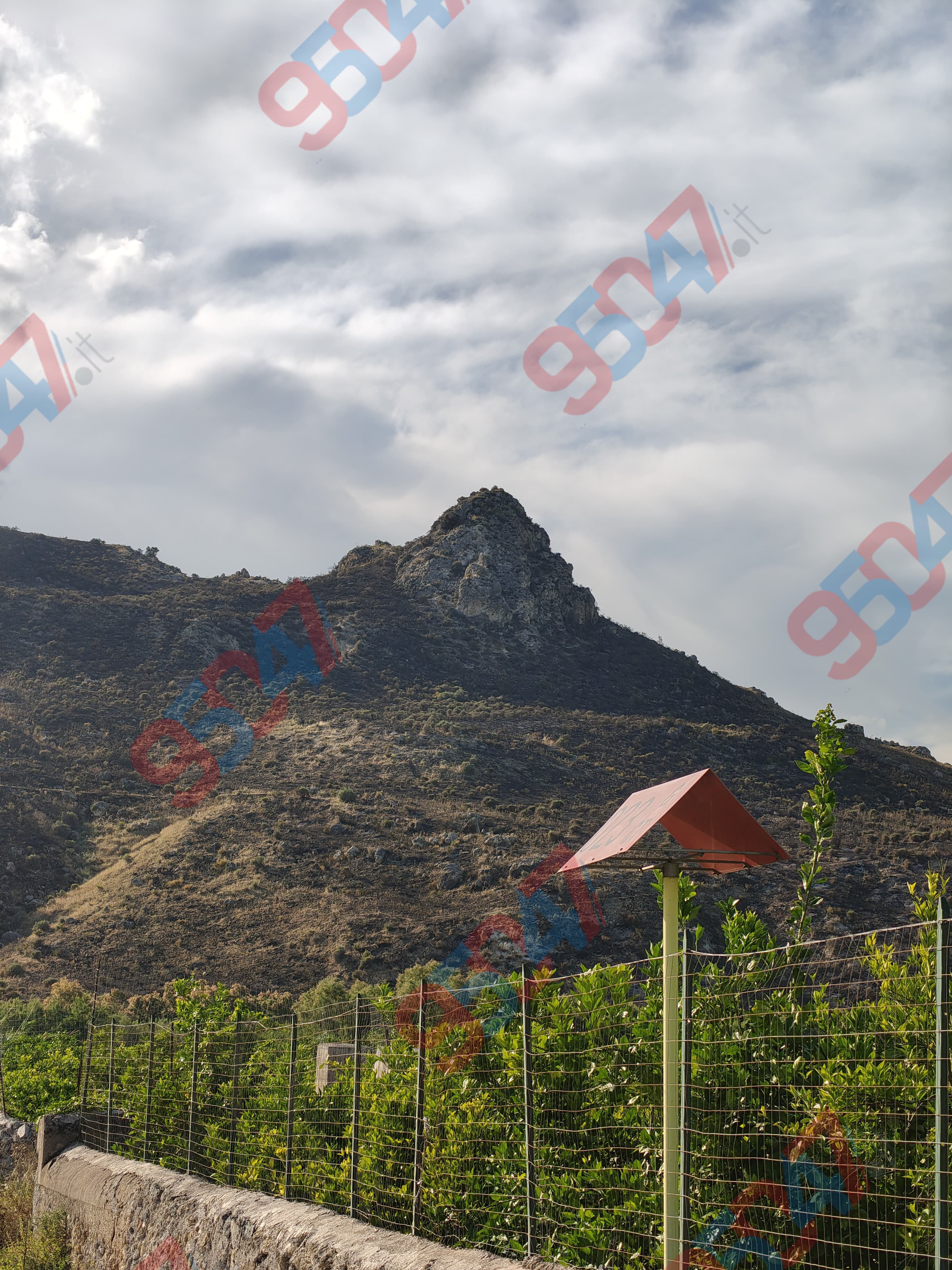 Incendio devastante a Pietralunga: in azione anche l’elicottero della Forestale per domare le fiamme