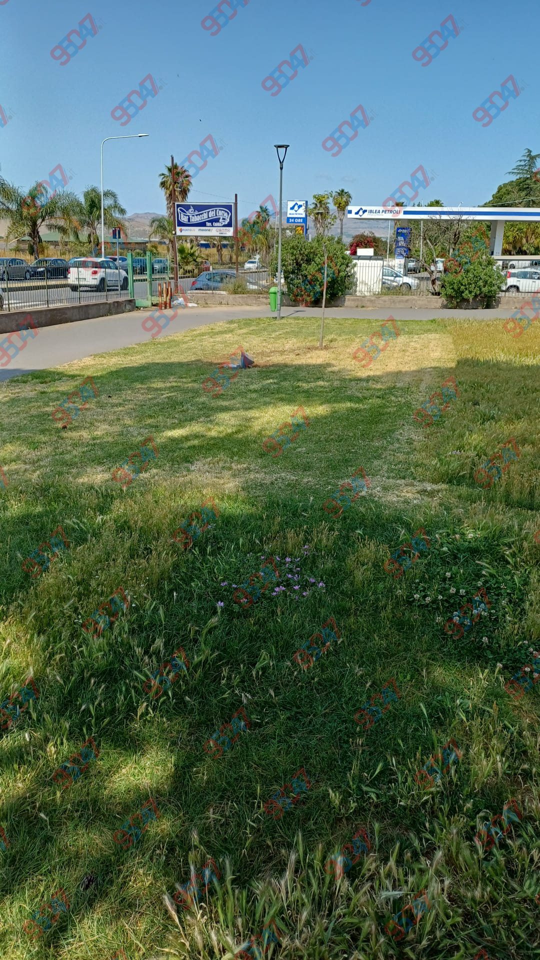 PATERNÒ, DISTRUTTA LA TARGA DELL’“ALBERO DELLA CITTÀ” AL PARCO DEL SOLE