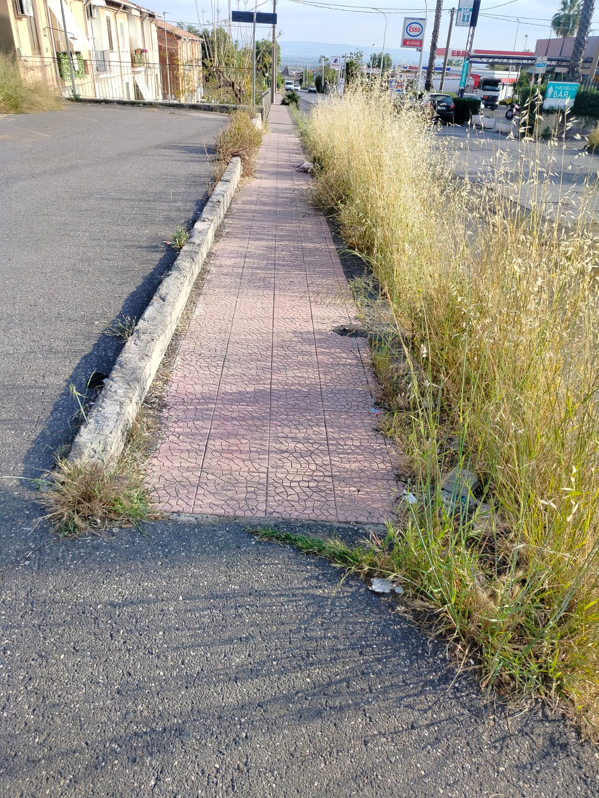 Degrado in via Giovanni Verga a Paternò: cittadini esasperati, "Non si può più passare"