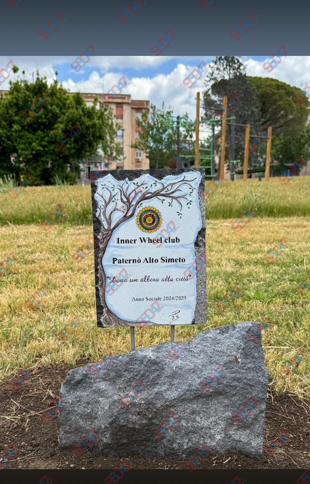 PATERNÒ, DISTRUTTA LA TARGA DELL’“ALBERO DELLA CITTÀ” AL PARCO DEL SOLE