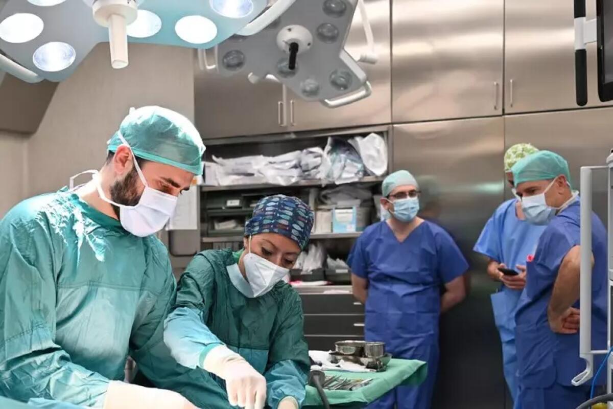 Gaslini, intervento mai eseguito al mondo salvato bimbo di 2 anni con malformazione rara - 