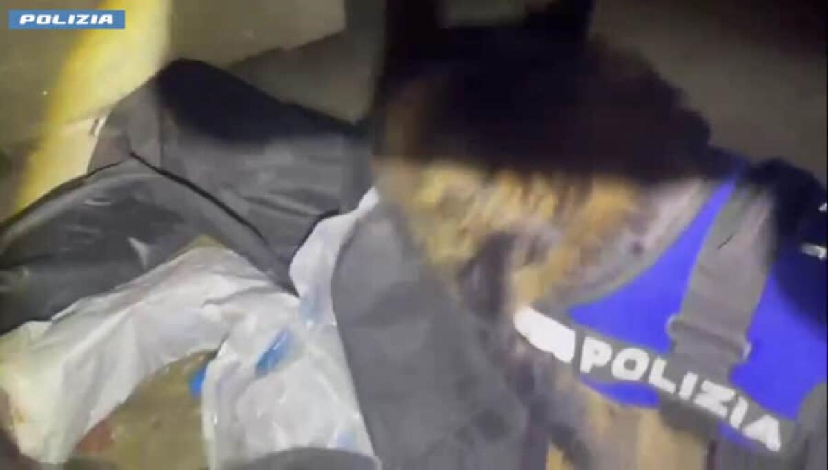 Uscito da poco dal carcere, torna nei guai: 3,5 chili di droga in un box - 