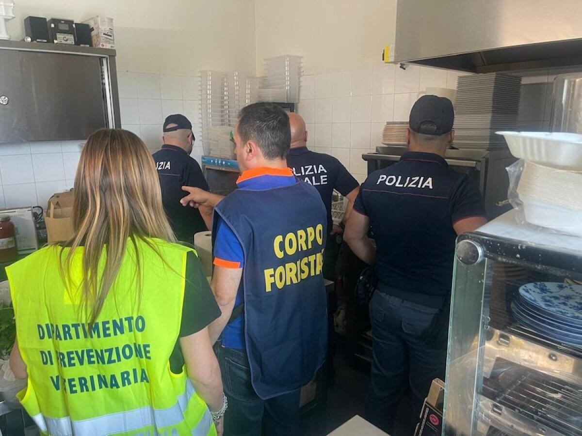 Catania, sequestrati 80 kg di pesce pericoloso: chiuso ristorante e sanzioni per oltre 10mila euro - 