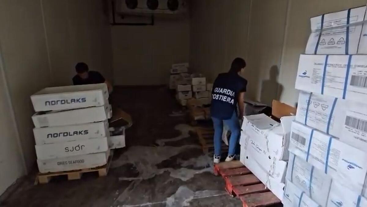 Sequestrate oltre 3 tonnellate di prodotti ittici non idonei al consumo ad Acireale - 