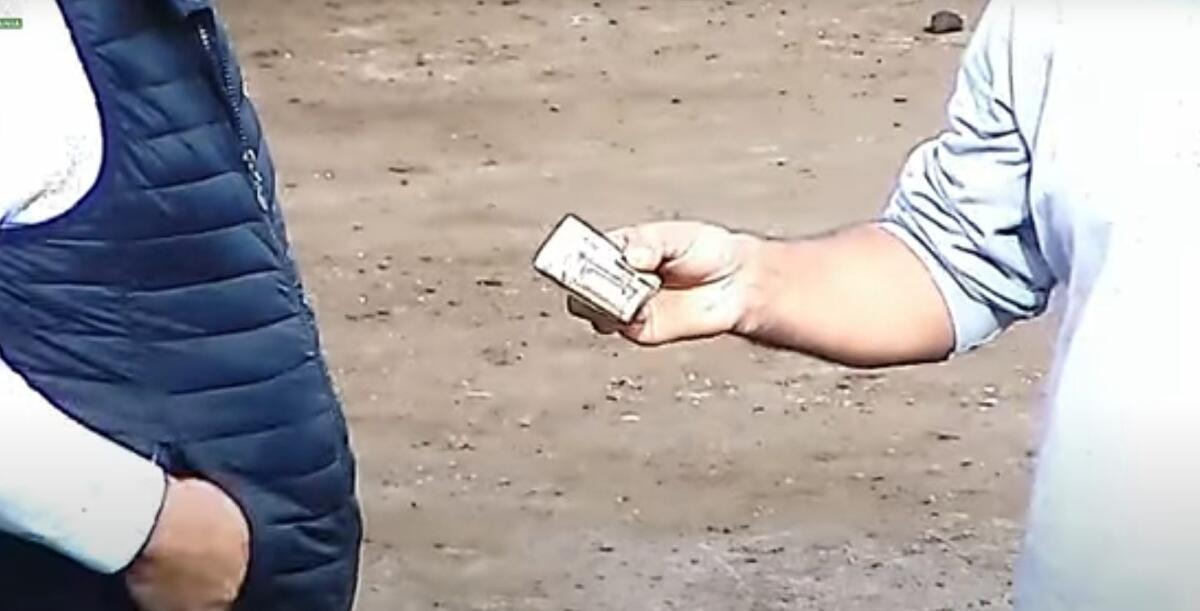 CATANIA. IL RACKET DEGLI AGRUMI IN MANO AL CLAN LAUDANI: 8 ARRESTI E DUE SOCIETÀ SEQUESTRATE – ECCO I NOMI - 