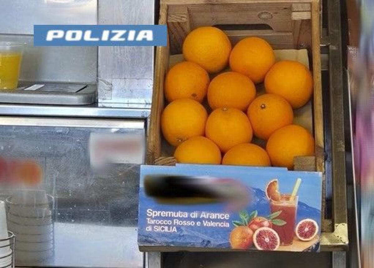 MOZZARELLE SCADUTE E ARANCE EGIZIANE SPACCIATE PER SICILIANE: SEQUESTRI IN AREA DI SERVIZIO SULL’AUTOSTRADA CATANIA-PALERMO - 