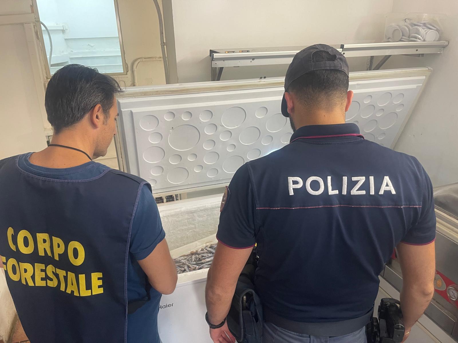 BLATTE NEL MAGAZZINO E LAVORATORI IN NERO: RISTORANTE CHIUSO AD ACI TREZZA, UN ALTRO SANZIONATO PER CIBO NON TRACCIATO – MAXI MULTE PER OLTRE 15MILA EURO