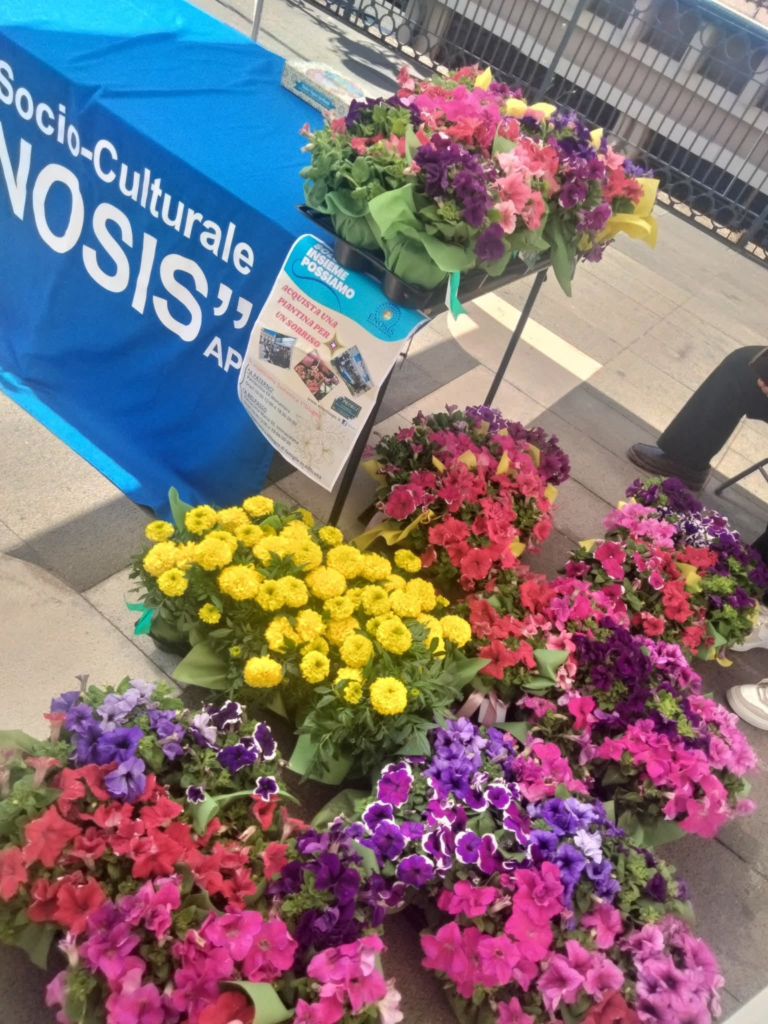 “SOLO INSIEME POSSIAMO”: NUOVA INIZIATIVA SOLIDALE DI ENOSIS